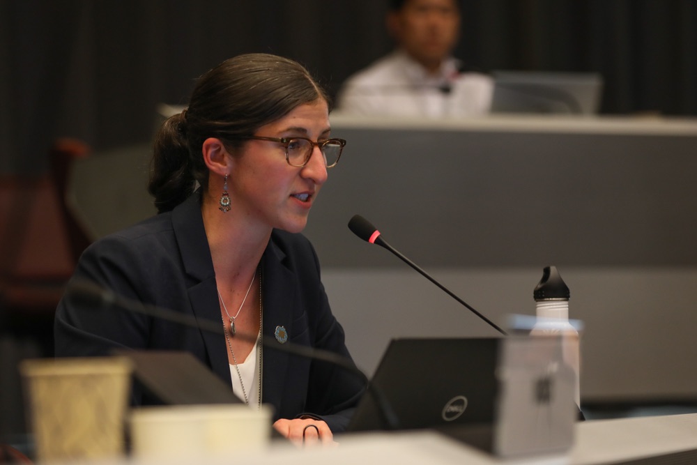 Anja Brandon speaking at a microphone