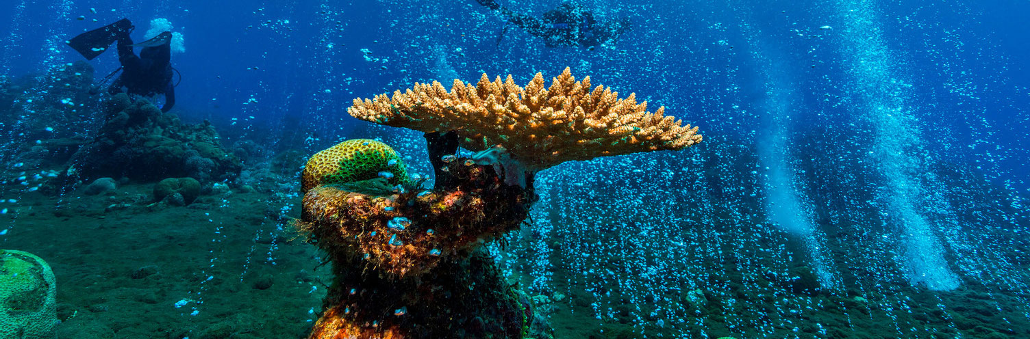 The CARIOCA project (Coral reef acclimatization to ocean acidification) team exploring the area of the fizzling volcanic seeps near Ambitle Island, trying to understand how corals may acclimate to future ocean conditions.